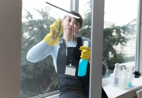 Nettoyage de vitres intérieures et extérieures à Vernais